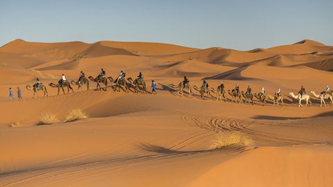 Activities Riad Dar Hassan Camel Caravan - photo by Ezyê Moleda all rights reserved