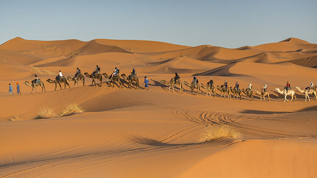 Actividades del Riad Dar Hassan - Caravana de camellos - foto de Ezyê Moleda, todos los derechos reservados