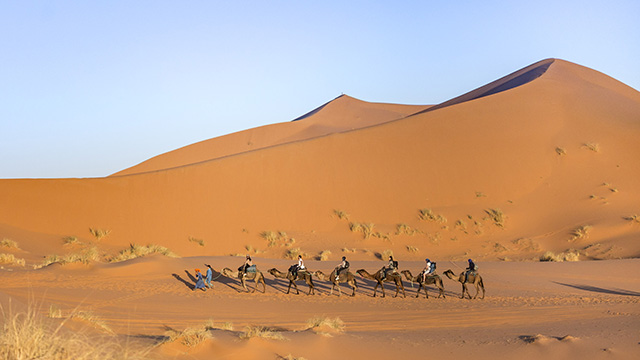 Actividades del Riad Dar Hassan - Caravana de camellos - foto de Ezyê Moleda, todos los derechos reservados