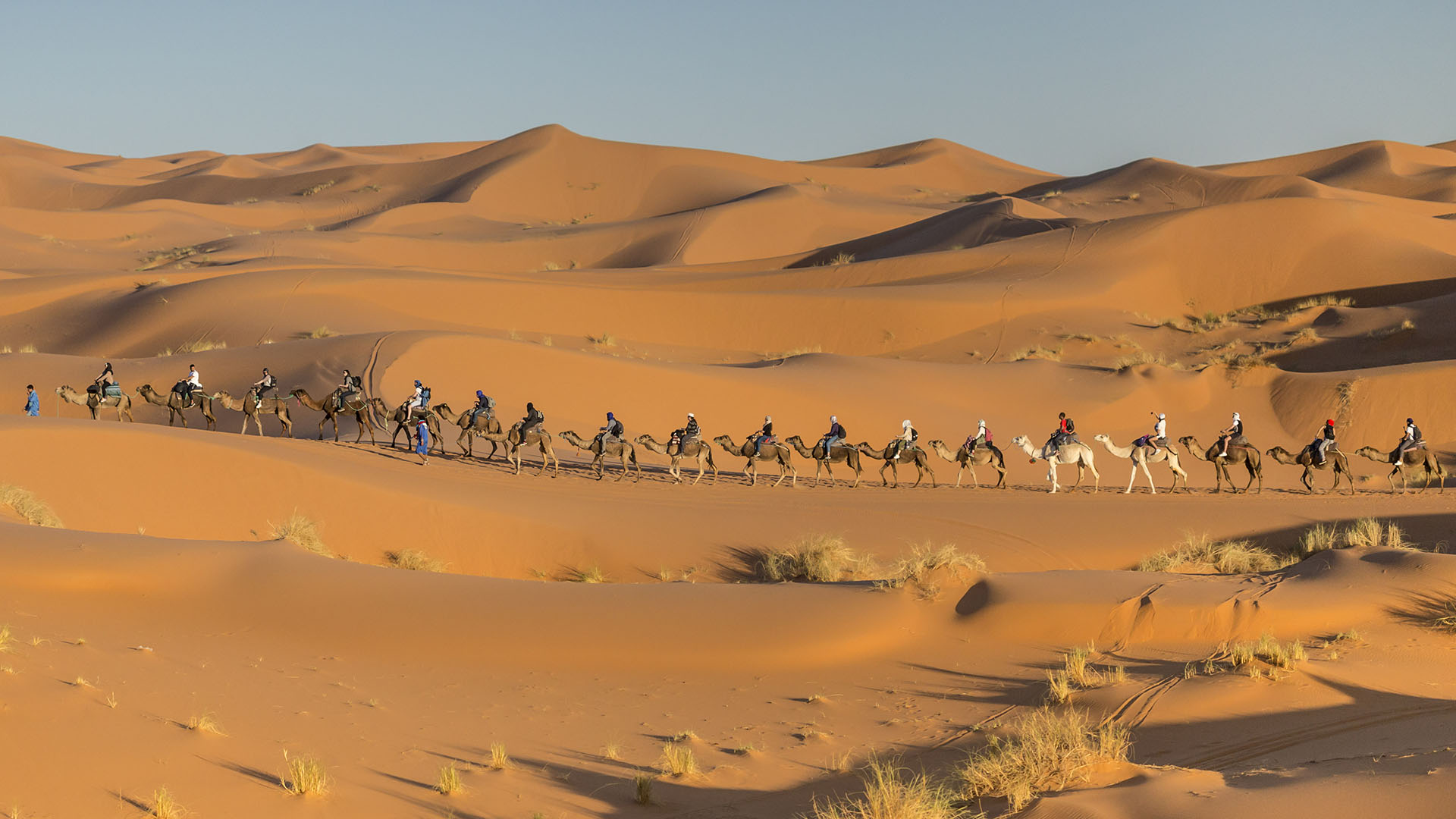 Riad Dar Hassan Camel Caravan Merzouga Desert - photo by Ezyê Moleda